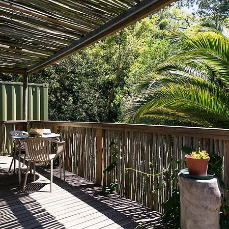 Camps Bay Forest Pods Κέιπ Τάουν Εξωτερικό φωτογραφία