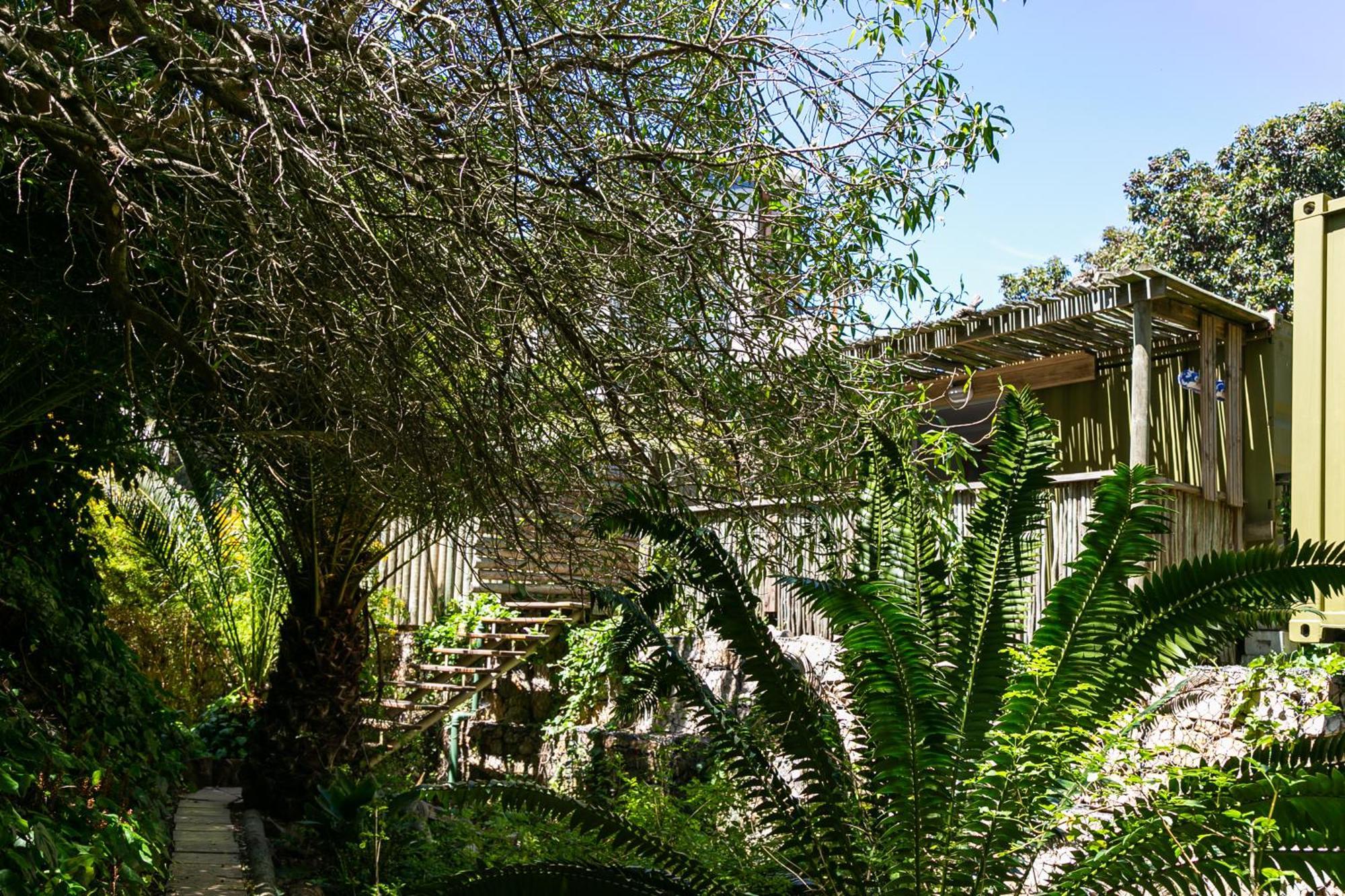 Camps Bay Forest Pods Κέιπ Τάουν Εξωτερικό φωτογραφία