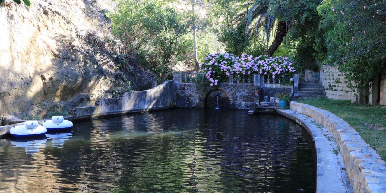 Camps Bay Forest Pods Κέιπ Τάουν Εξωτερικό φωτογραφία